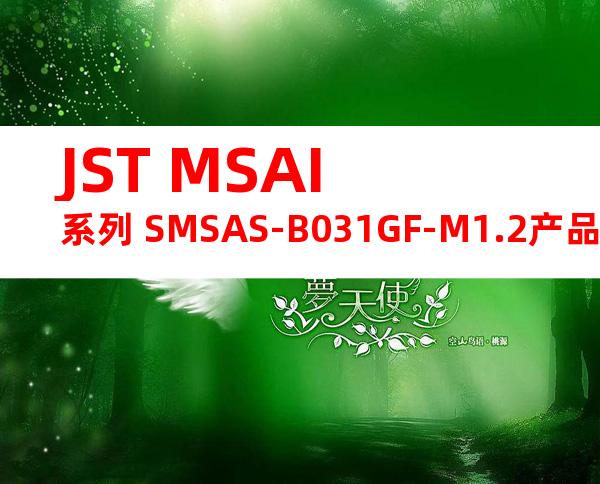 JST MSAI系列 SMSAS-B031GF-M1.2产品图纸